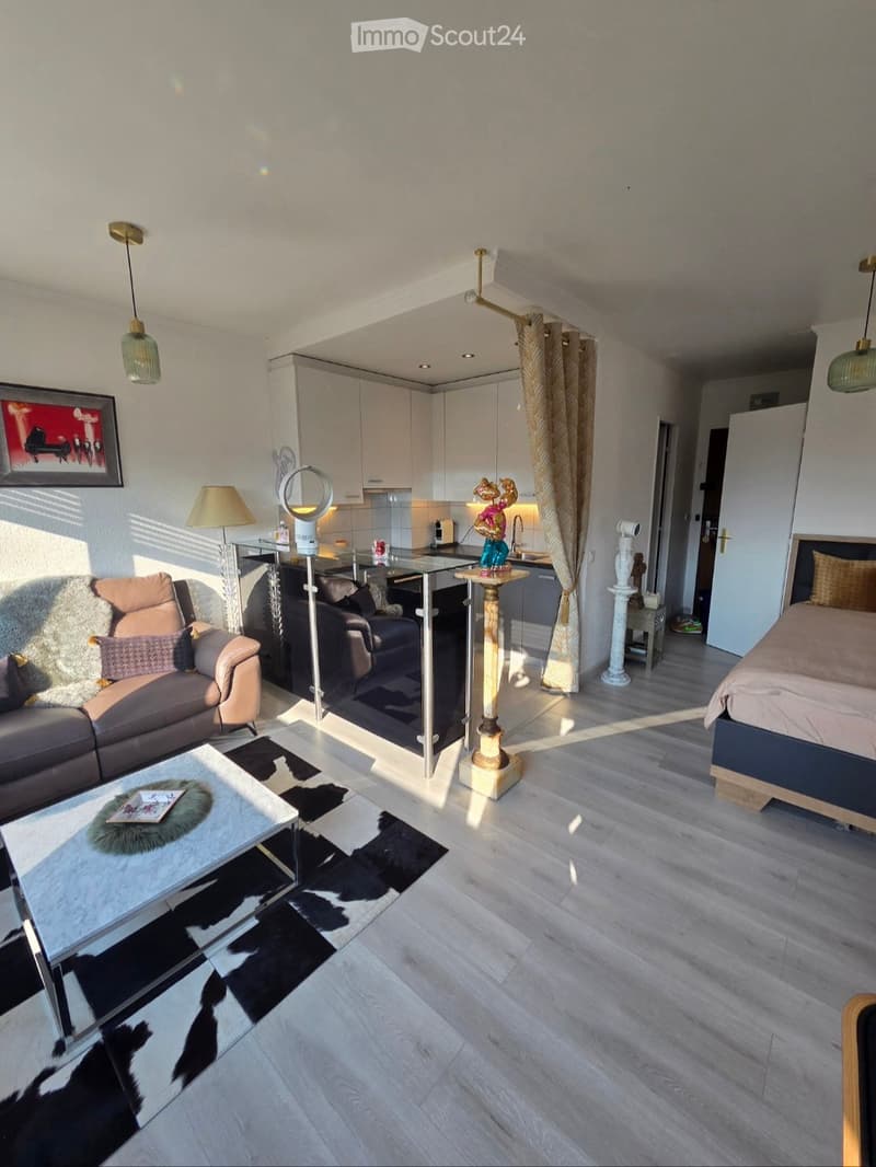 Open-plan living and sleeping area with modern furniture, including a sofa, coffee table, bed, kitchen area, and decorative items.