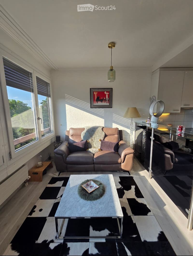Modern living room with large windows, a grey leather sofa, a glass coffee table, a floor lamp, and a mirror. The room features a black and white checkered rug and a fur throw on the sofa.
