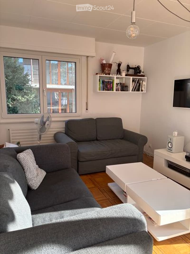two sofas, coffee table, television, shelves, fan, radiator