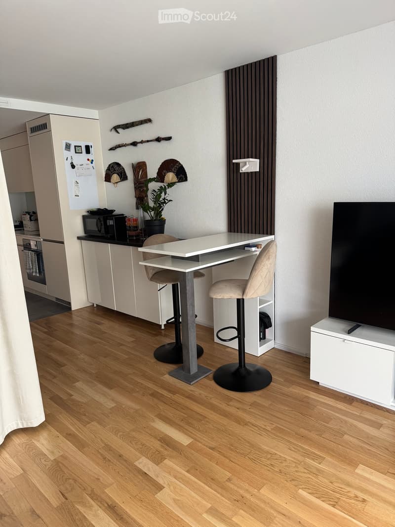 A modern, well-lit room with a wooden floor, a white desk with two chairs, a television on a stand, a small kitchen area with a refrigerator, microwave, and oven, and decorative items including fans and a plant.