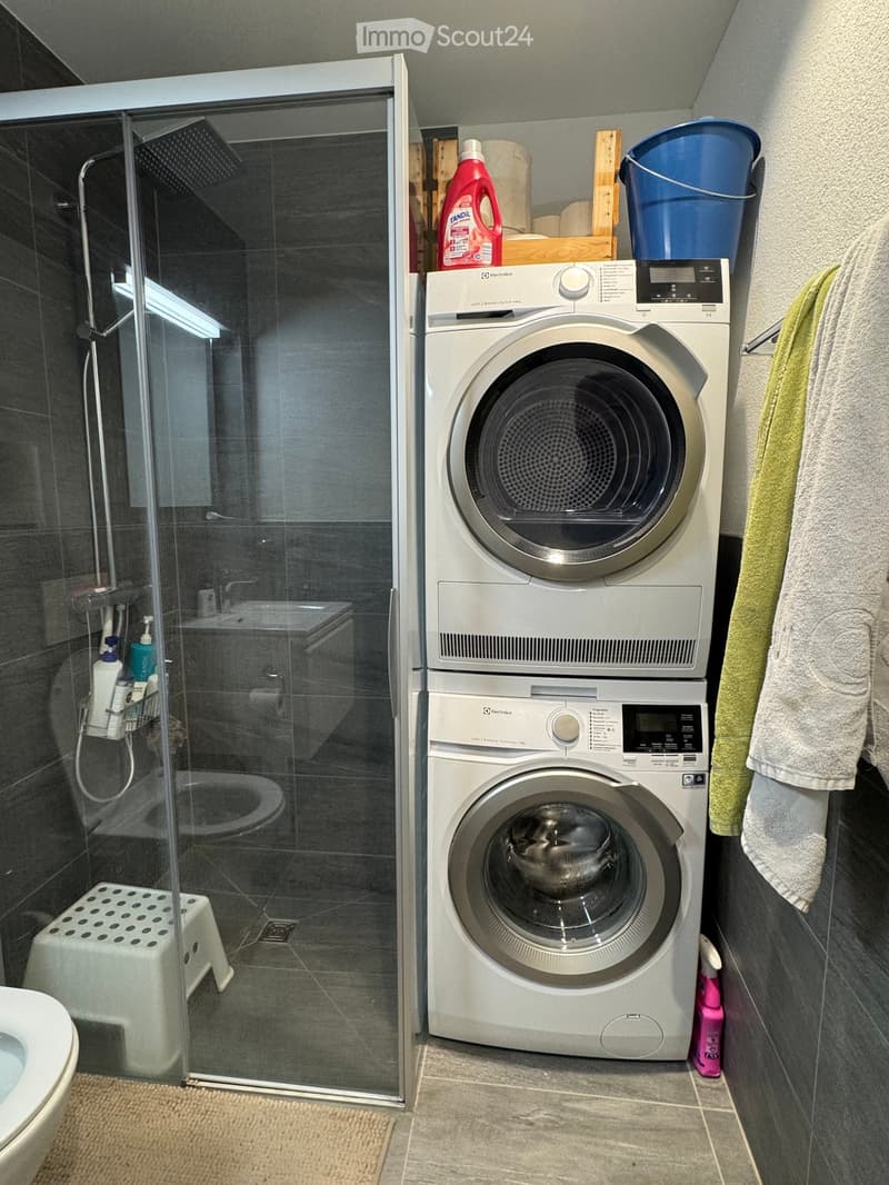 Modern bathroom with a glass-enclosed shower, toilet, washing machine, and various cleaning supplies.