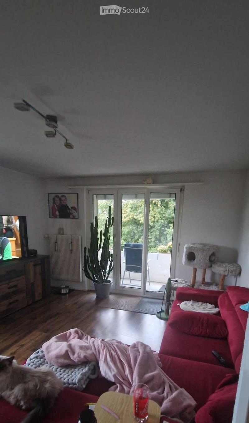 A cozy living room with a red sofa, a small round table with a Coca-Cola glass, a cat tree, a large cactus in a pot, a television, and a picture frame on the wall. The room has wooden flooring and large glass doors leading to a patio.