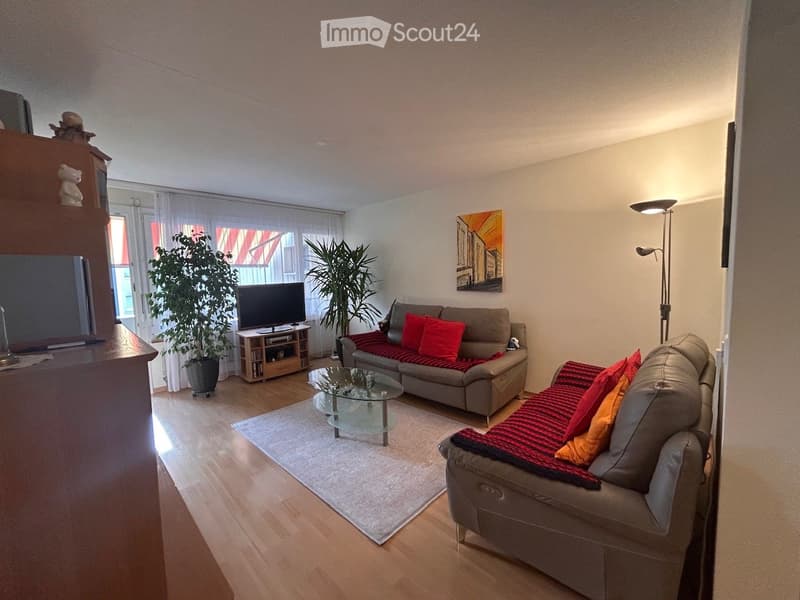 Bright living room with wooden flooring, two sofas with colorful cushions, a glass coffee table, a TV on a stand, two potted plants, a floor lamp, and a painting on the wall.