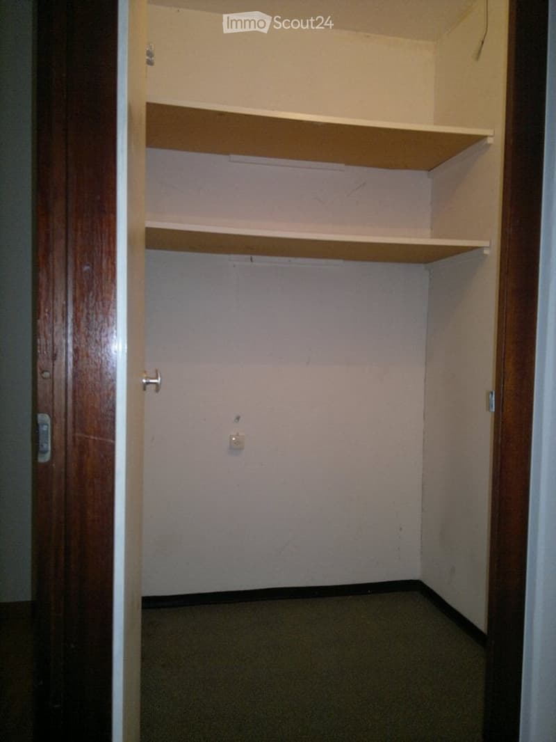 Empty closet with wooden shelves and a carpeted floor. No furniture or items present.