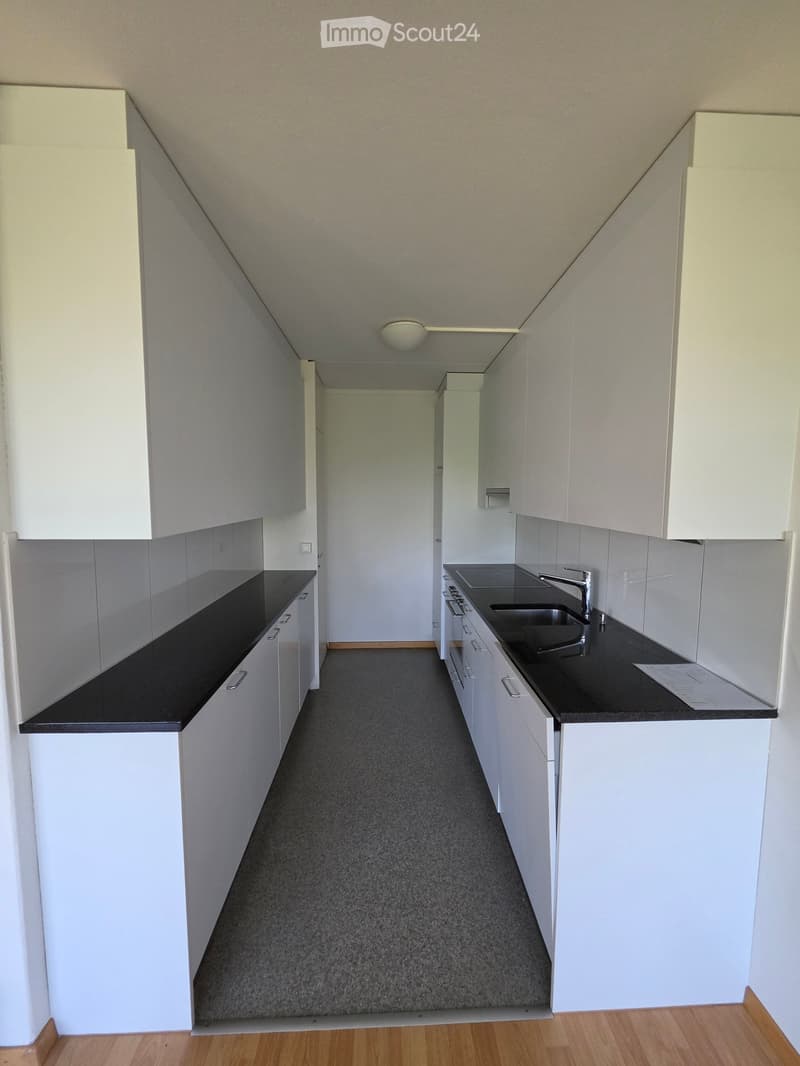 Modern kitchen with white cabinets, black countertops, and stainless steel appliances, including a sink, faucet, and oven. The space features a grey carpeted floor and a wooden entryway.
