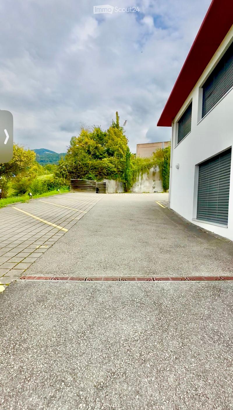 Driveway leading to a modern house with white walls and a red roof, surrounded by greenery and a concrete wall.