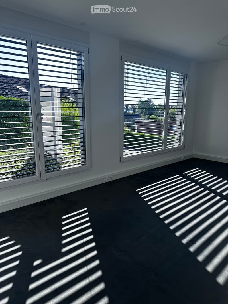 Empty room with large windows, white walls, and dark flooring. Sunlight streams in, casting striped shadows on the floor.