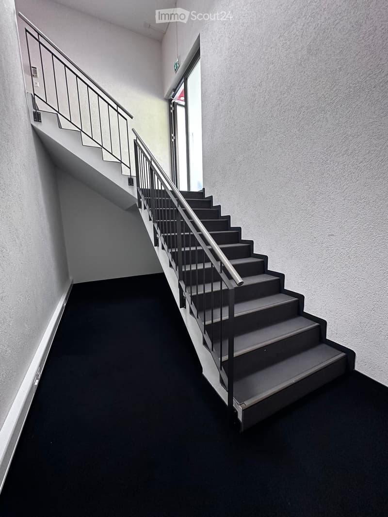 Modern staircase with black carpeted steps and metal railings, leading upwards with a glass door at the top.