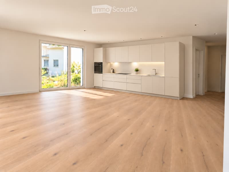 Modern kitchen with white cabinets, wooden flooring, large windows, sink, oven, and small plant on the counter.