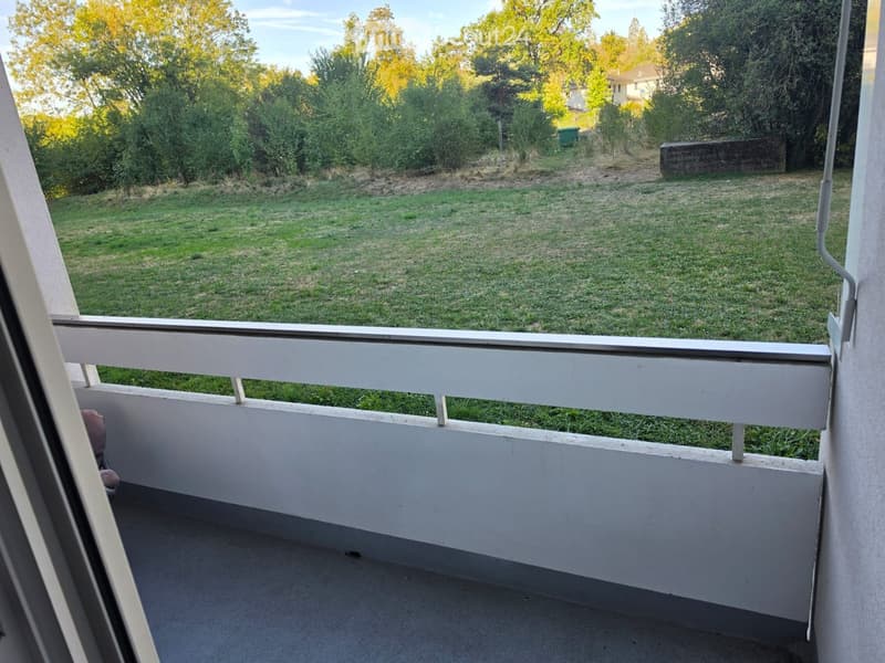 Balcony with white railing overlooking a grassy area with trees and a small building in the background.