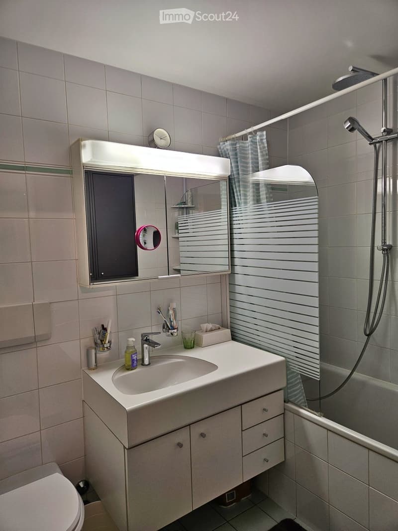 A modern bathroom with a white sink, mirror, and shower area. The sink has a faucet, toothbrush holder, and a cup. A toilet is visible in the corner, and a shower with a glass enclosure and a showerhead is present.