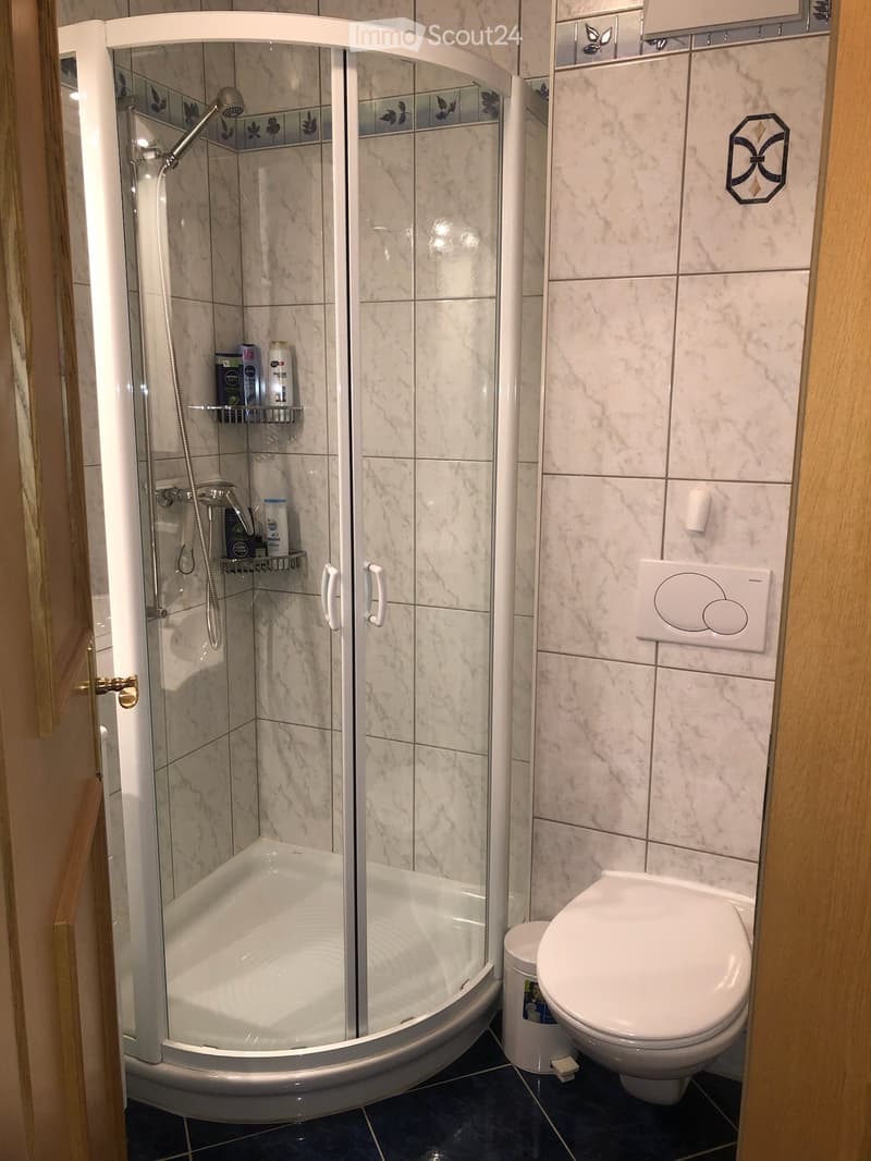 Modern bathroom with a walk-in shower, toilet, and built-in shower shelf holding toiletries.