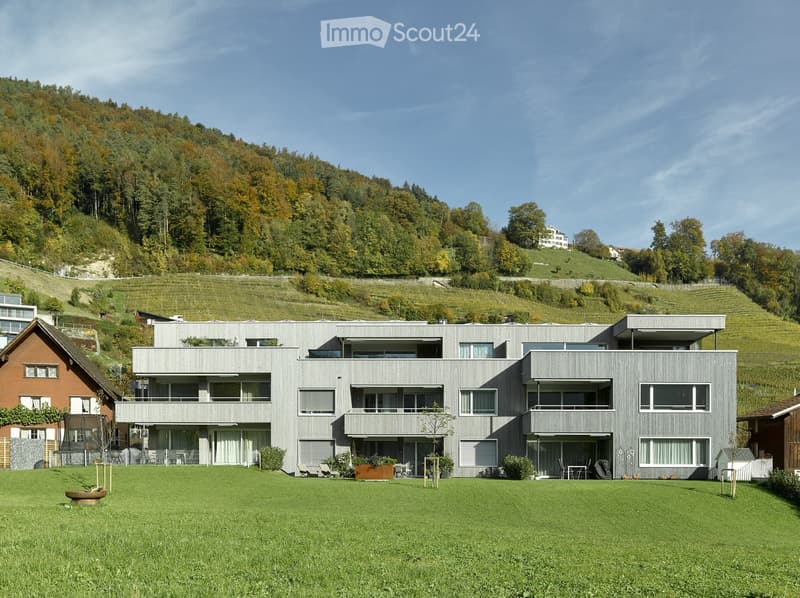 MFH ganz - Südseite