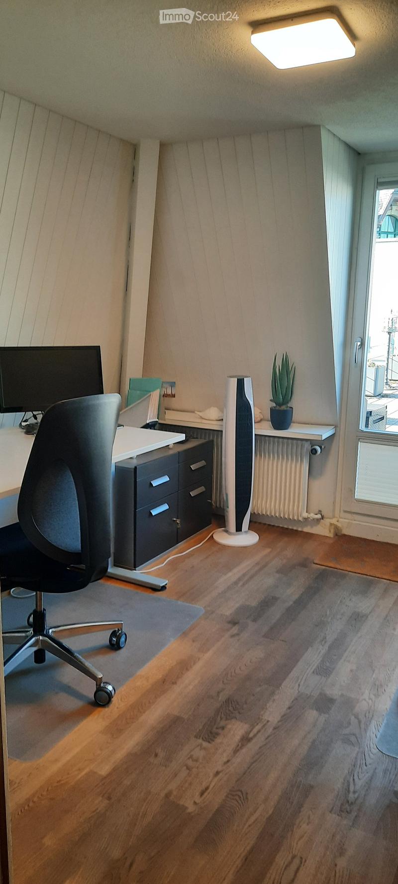 A modern, well-lit room with wooden flooring, a desk with a computer, a chair, a fan, and a potted plant near the window.