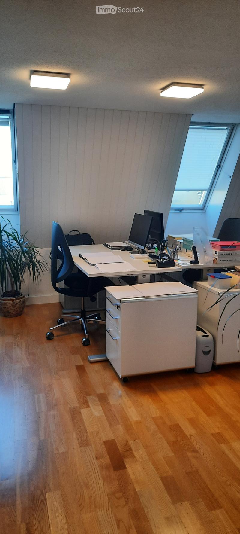 Office space with wooden flooring, a desk with a computer, a chair, a cabinet, and a potted plant near the window.
