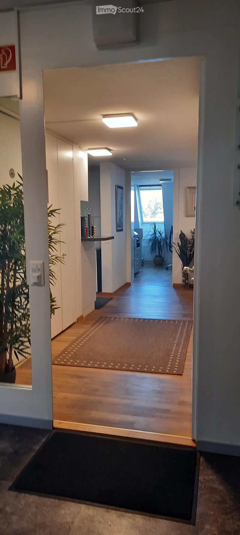 A well-lit hallway with wooden flooring, a small table with a plant, and a view into another room with more plants and a window.