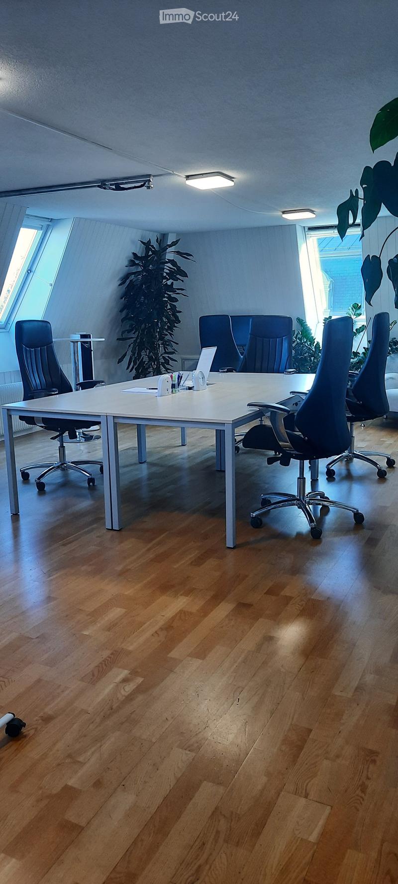 Modern office space with a large white conference table, multiple black office chairs, a laptop, and indoor plants near large windows.
