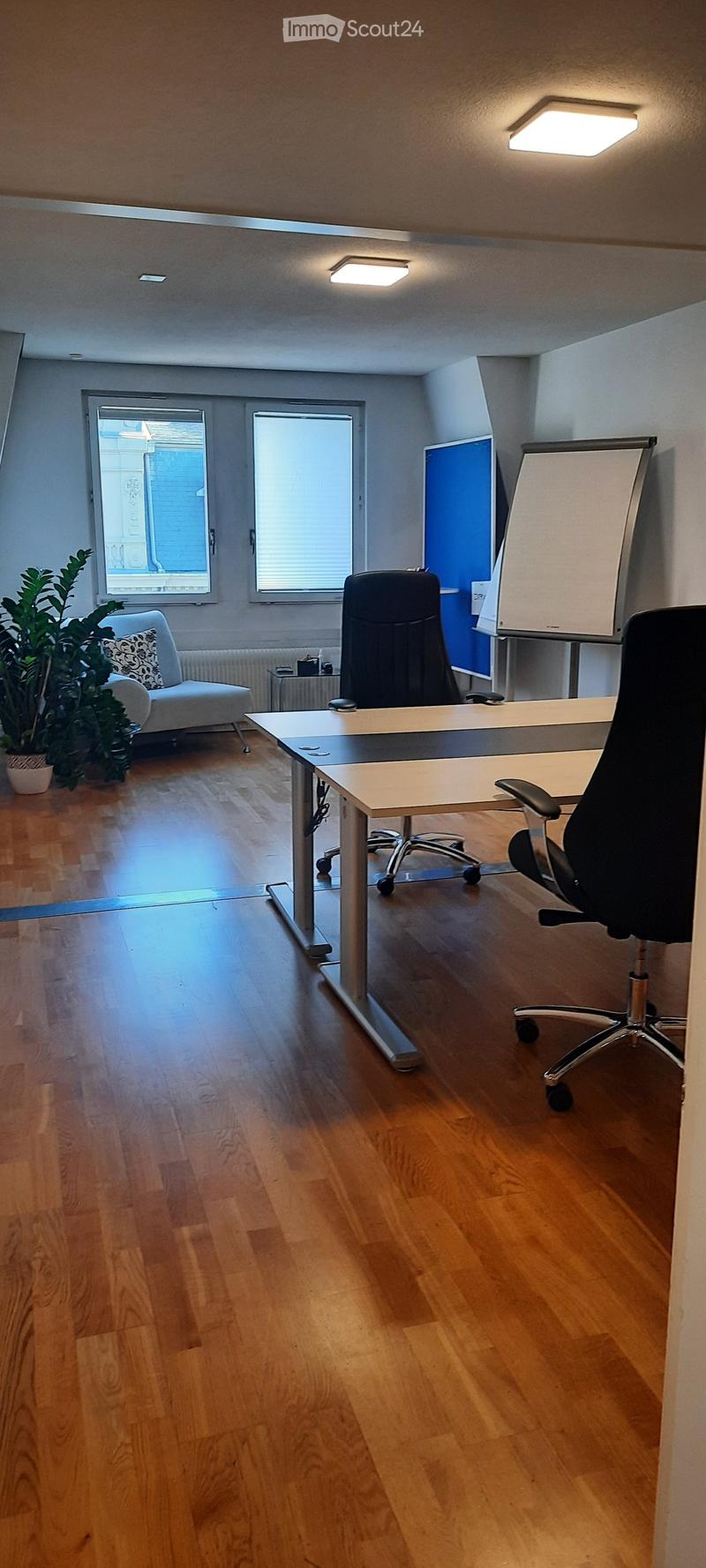 Office space with wooden flooring, a large desk, two chairs, a sofa, a potted plant, and a screen on a stand.
