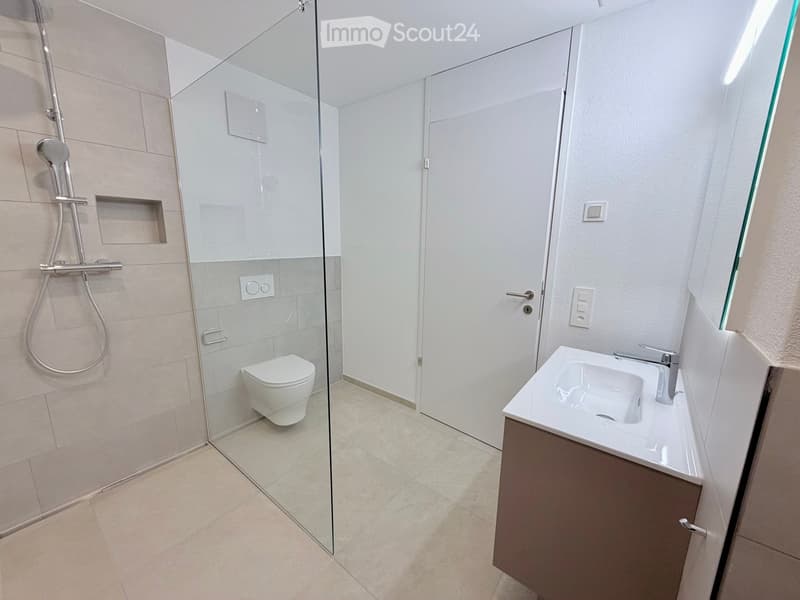 Modern bathroom with a glass-enclosed shower, toilet, sink, and modern fixtures.