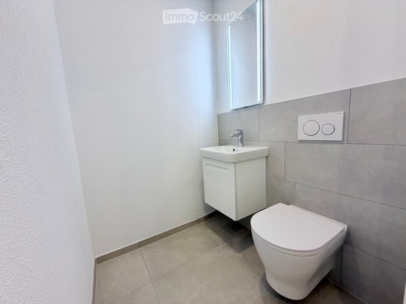 Modern bathroom with a white toilet, sink with cabinet, and a mirror above the sink.