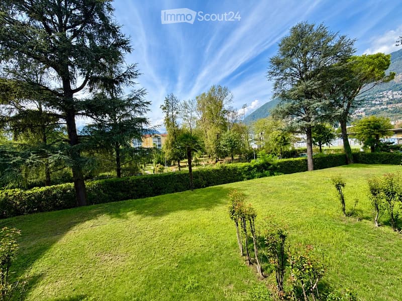 A well-maintained garden with a lush green lawn, surrounded by tall trees and shrubs, with a scenic mountain view in the background.