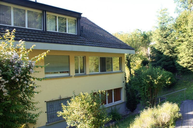 Yellow house with black roof, white windows, brown garage door, multiple windows on the sides, surrounded by plants and trees