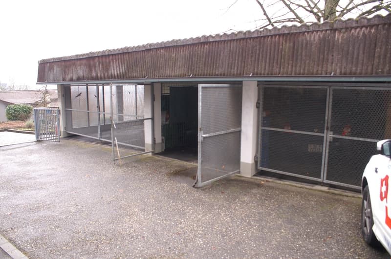 Single story building with corrugated roof, metal doors and gates, concrete floor, a car parked outside