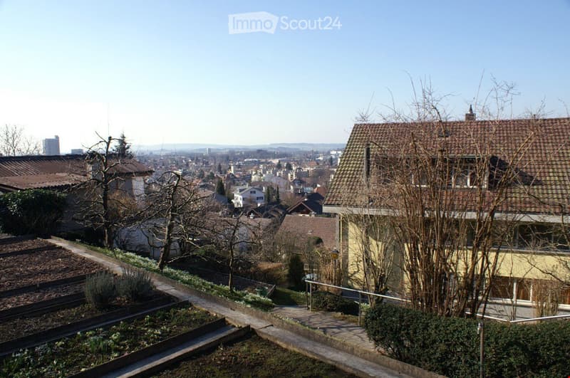 {"visible_features": ["View"],    "type": "Garden",    "description": "terrace garden, various trees, raised terrace, several houses in the background",    "localized_descriptions":        {        "EN": "terrace garden, various trees, raised terrace