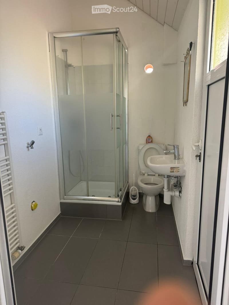 Helle 4,5-Zimmer-Wohnung in zentraler Lage zu vermieten (8)