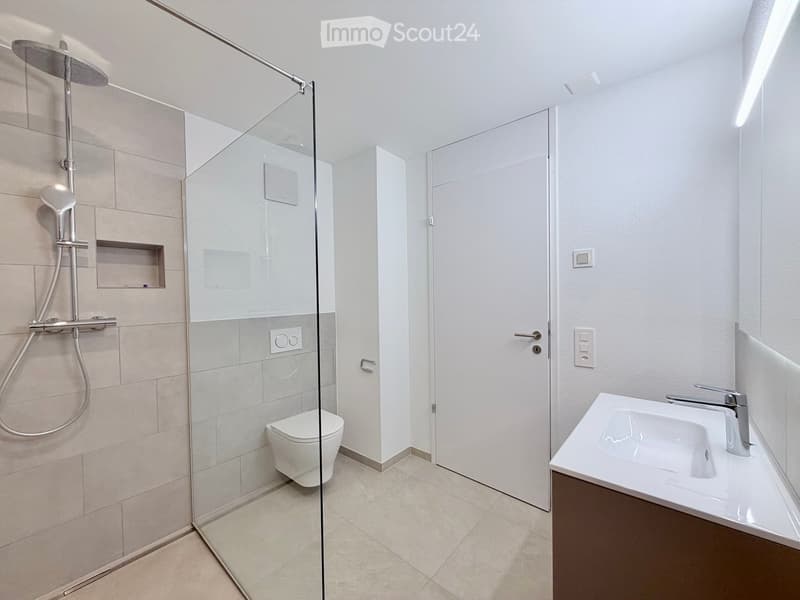 Modern bathroom with a glass-enclosed shower, toilet, sink, and sleek chrome fixtures.