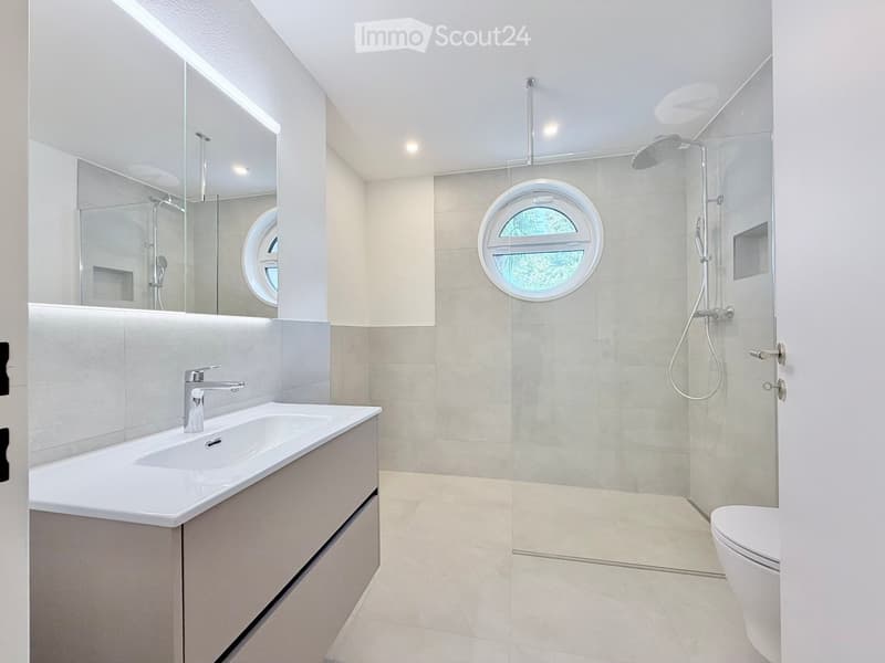 Modern bathroom with a white sink, chrome faucet, large mirror, glass-enclosed shower with a handheld showerhead, and a toilet. Features two round windows and recessed lighting.