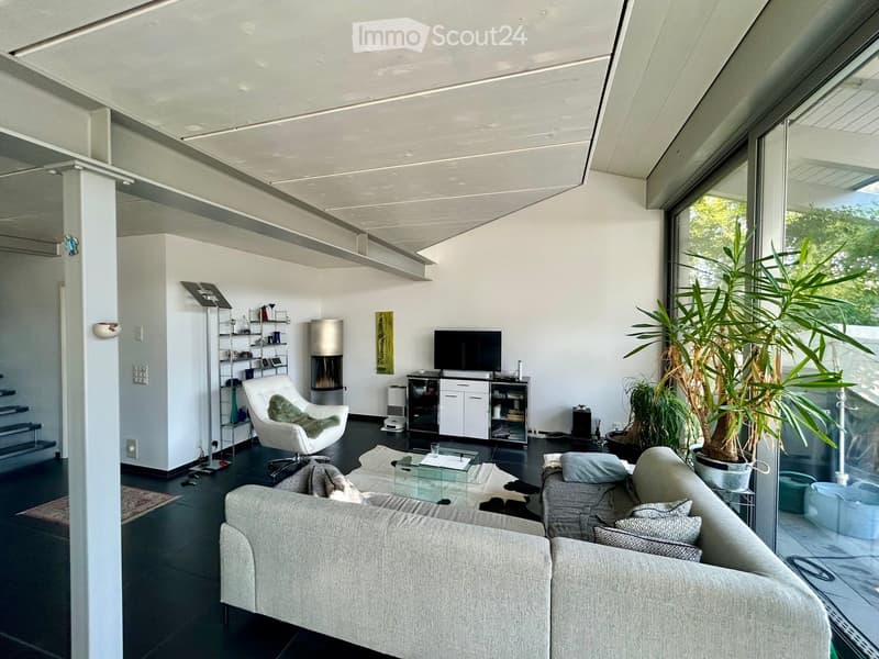 Modern living room with large windows, grey sofa, coffee table, armchair, television, fireplace, floor lamp, and potted plants.