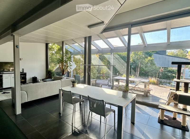 Bright, modern living and dining area with large glass walls and a skylight, featuring a grey sofa, white dining table with chairs, a cat tree, and potted plants.
