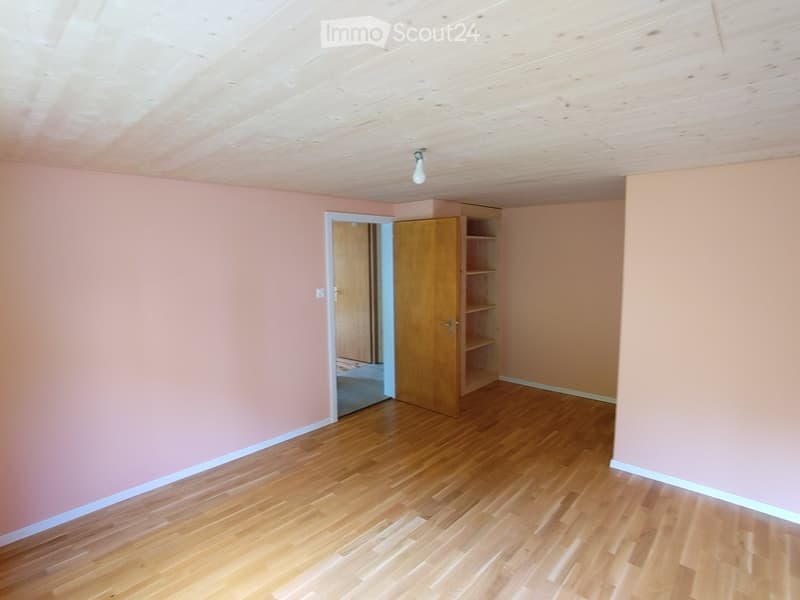 Unfurnished Room. Empty room with wooden floor, pink walls, and a wooden door leading to another room. There is a wooden shelf against the wall and a light fixture on the ceiling.