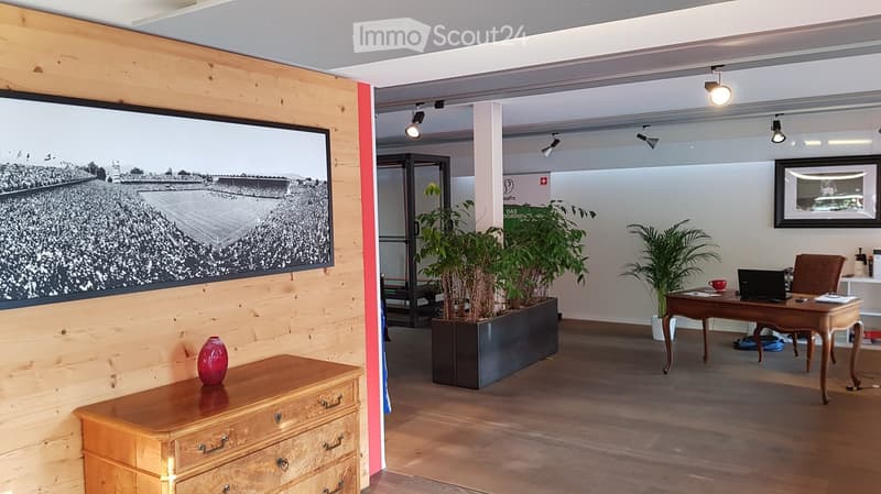 Modern office space with wooden flooring, large picture frame, wooden desk, chair, laptop, vase, and potted plants.