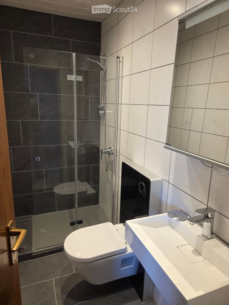 Modern bathroom with white tiles, a toilet, a sink with a modern faucet, a large mirror, and a glass-enclosed shower with a dark tiled wall.