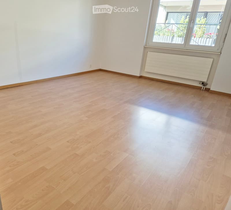 Empty room with light wooden flooring, white walls, and a large window with a radiator below it.
