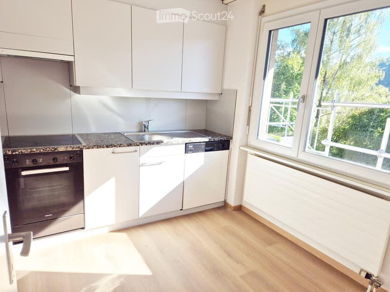 Modern kitchen with white cabinets, granite countertop, stainless steel oven, sink, and dishwasher. Large windows provide natural light and a view of greenery.