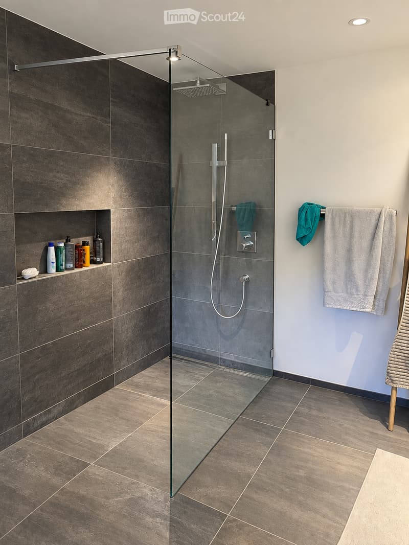 Modern bathroom with a glass-enclosed shower, dark tiled walls, and a shelf holding various bathroom products. A white towel hangs on a rack next to the shower area.