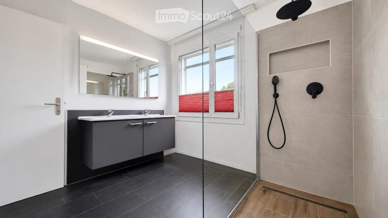 Modern bathroom with a double sink, large mirror, and a walk-in shower with a handheld showerhead.