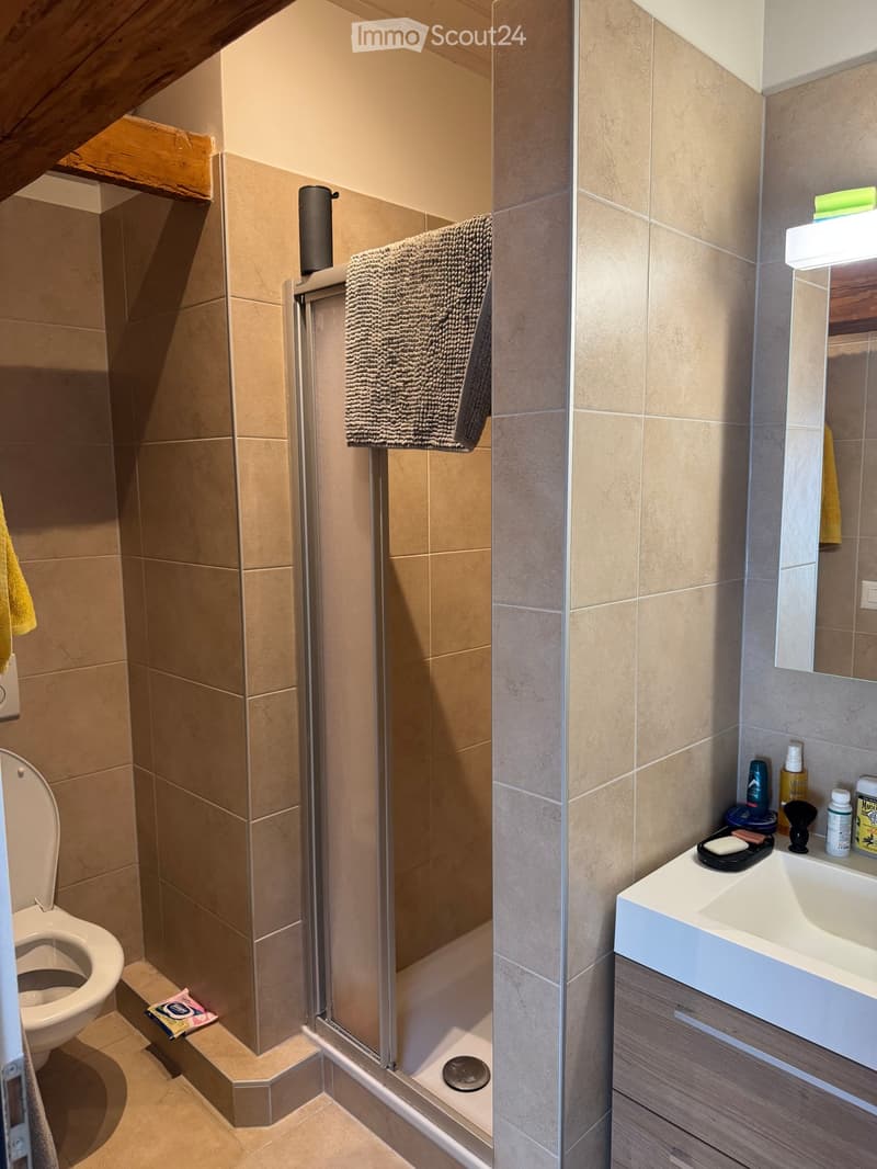 Modern bathroom with beige tiles, a toilet, a shower, a sink with a mirror, and various toiletries on the sink counter.