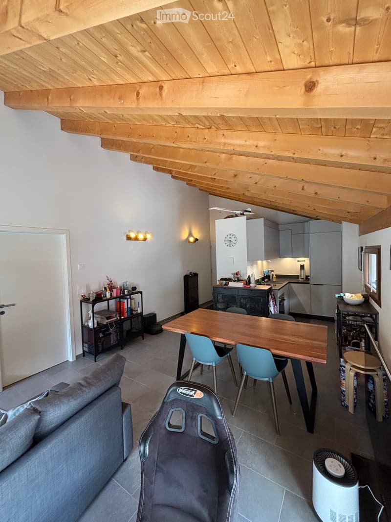 A modern, open-concept living and dining area with a wooden ceiling, grey sofa, dining table with chairs, and a small kitchen area with cabinets and appliances.
