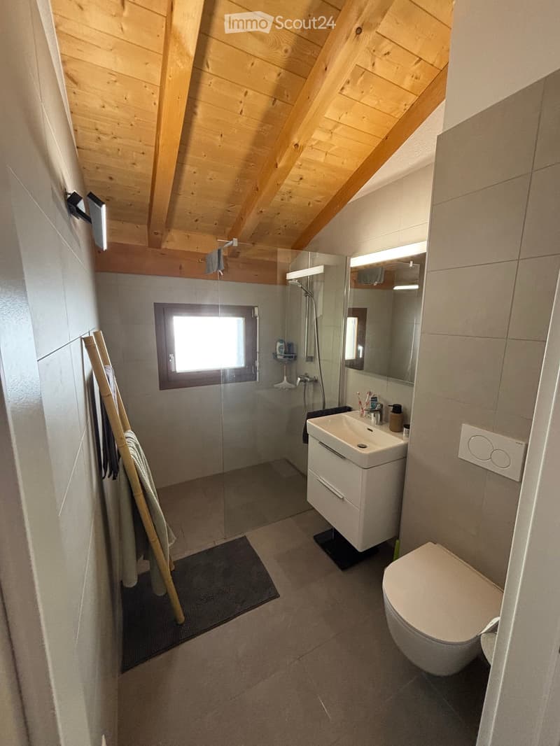 Modern bathroom with wooden slanted ceiling, glass-enclosed shower, white sink, toilet, and mirror. Includes a towel rack with towels and a small window for natural light.