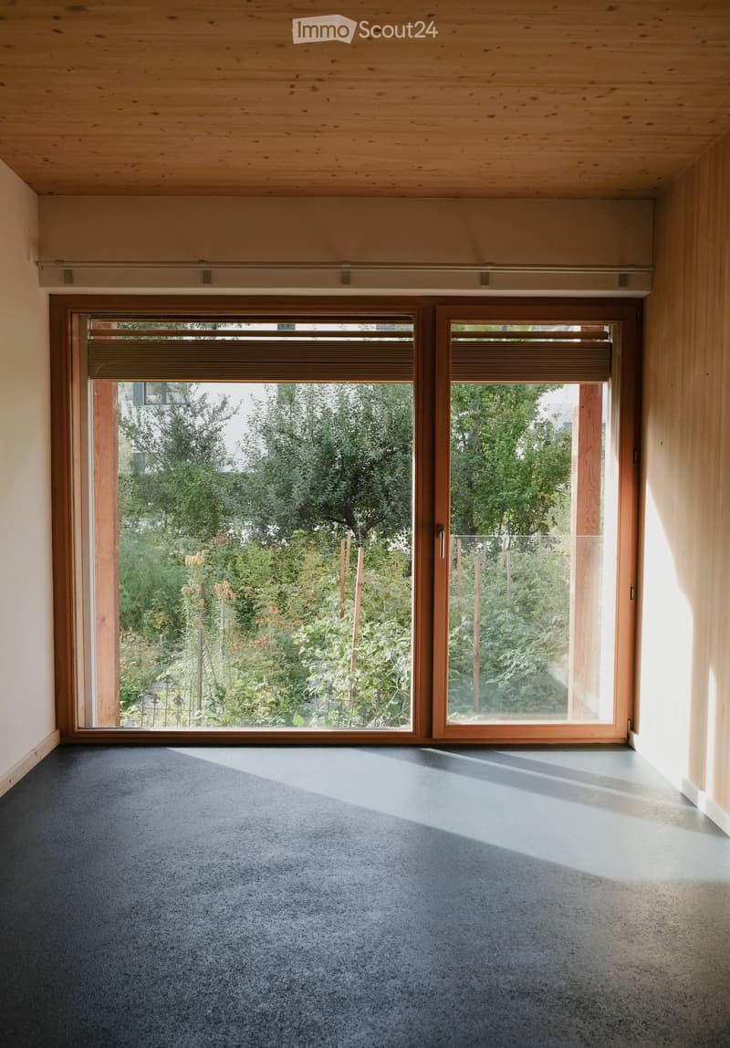 Empty room with wooden walls and ceiling, large windows with blinds, grey carpeted floor, and natural light streaming in.