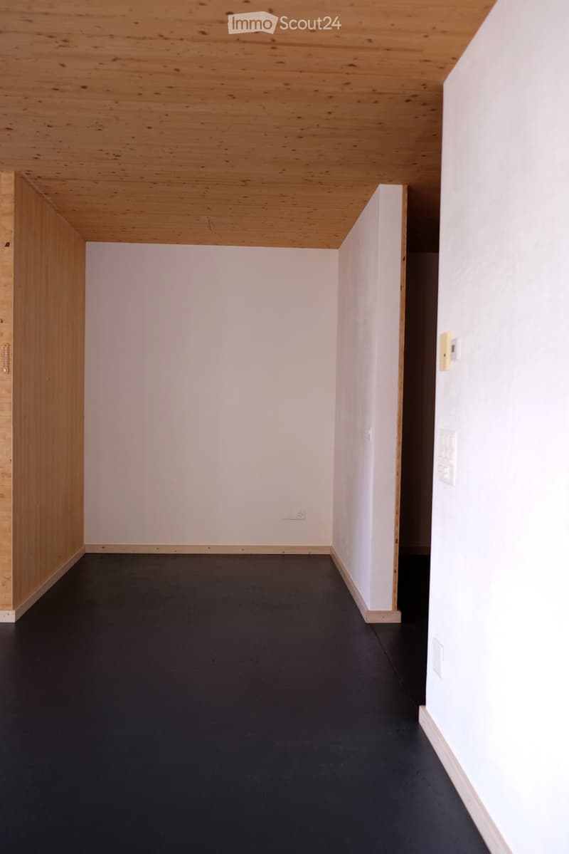 Empty room with white walls, dark floor, and wooden ceiling. No furniture or equipment visible.