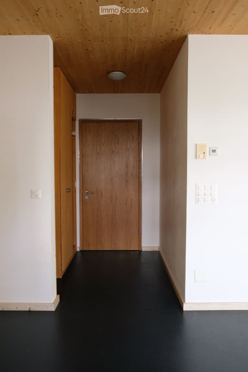 A modern hallway with a dark floor, white walls, and a wooden door at the end. The ceiling is wooden with recessed lighting, and there are electrical outlets and a thermostat on the right wall.