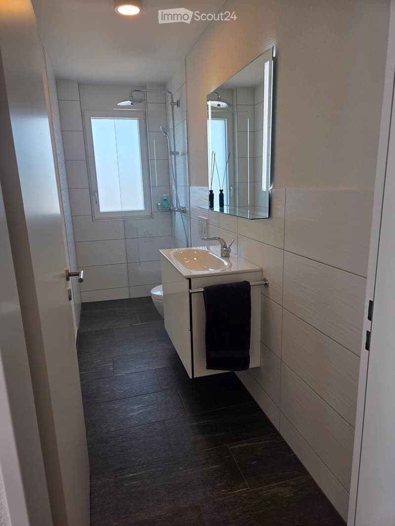 Modern bathroom with dark tiled floor, white sink, mirror, towel, and glass-enclosed shower area.