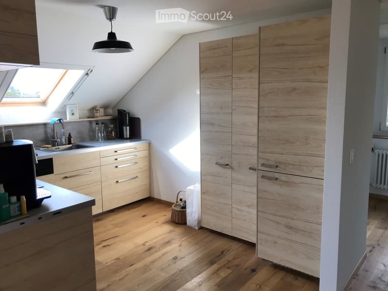 Modern kitchen with light wooden cabinets, stainless steel sink, and a hanging pendant light. The space features a skylight window and a small wicker basket on the floor.