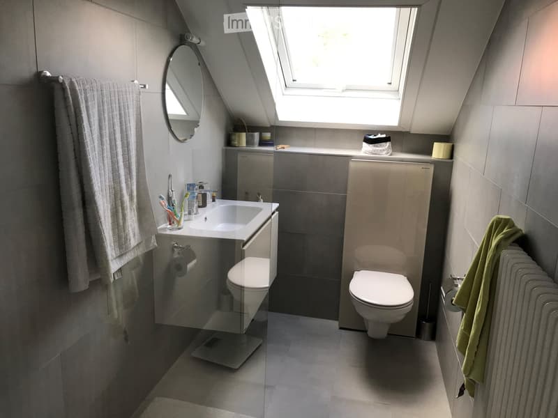 Modern bathroom with two toilets, a sink, a mirror, a towel, a radiator, and a toothbrush holder. The room features grey tiles and a skylight window.