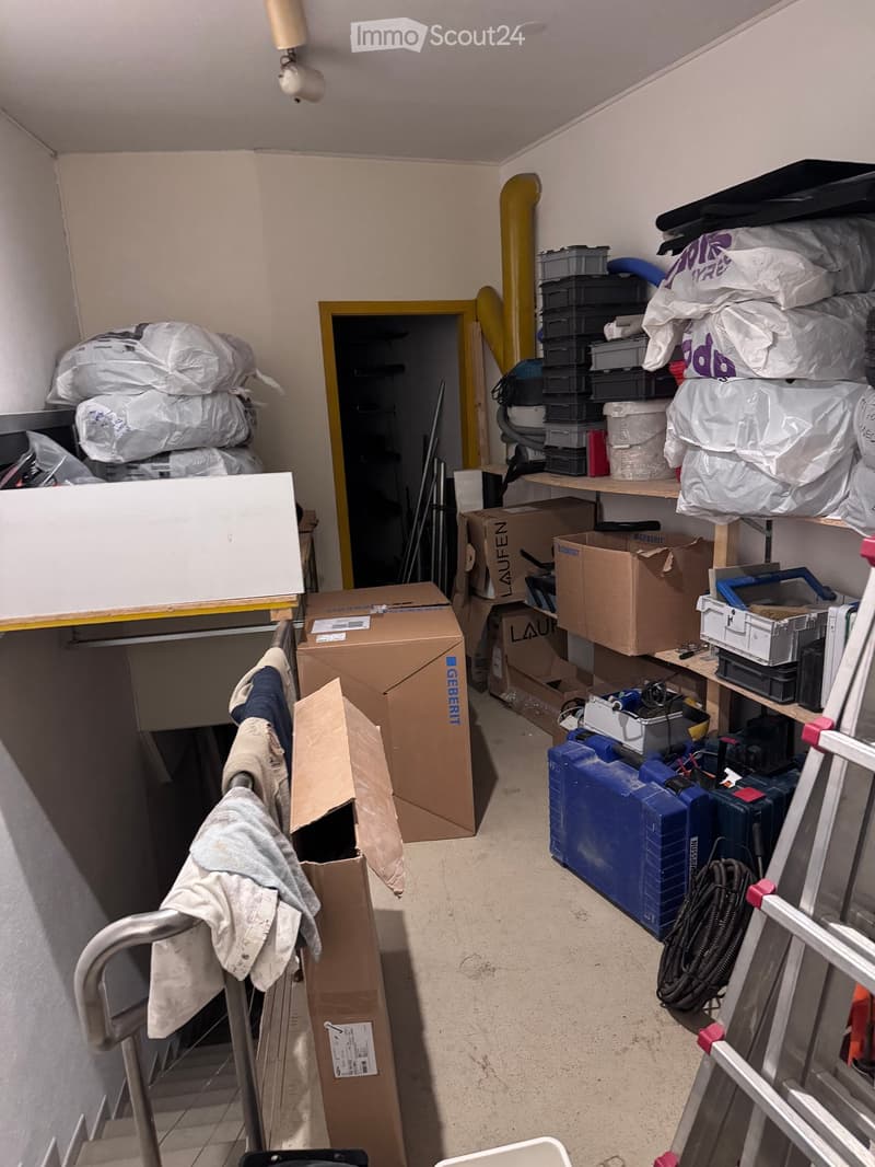 Storage room with shelves, boxes, and tools, but no furniture or major fixtures.